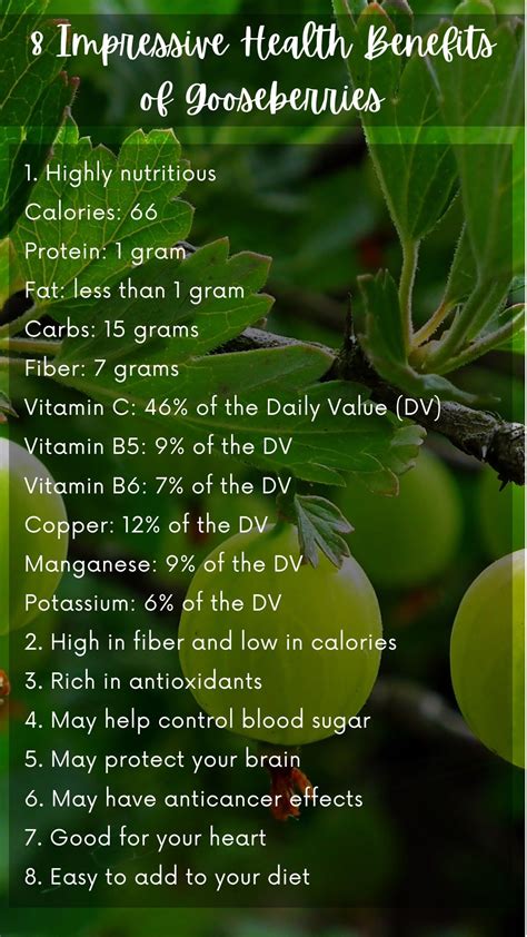 8 Impressive Health Benefits of Gooseberries.